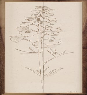 Delphinium II Flower Stem By Shirley Novak